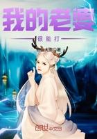 我的老婆很强