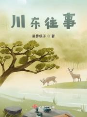 川东英雄电视剧剧情介绍