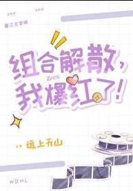 我爆红了! 作者远上天山百度