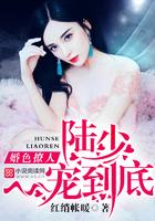 婚色几许陆先生入戏太深 若初