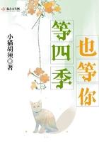 等四季也等你歌词