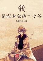 我是旗木家的二少爷TXT