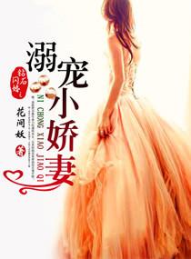 钻石闪婚之宠溺小甜妻笔趣阁