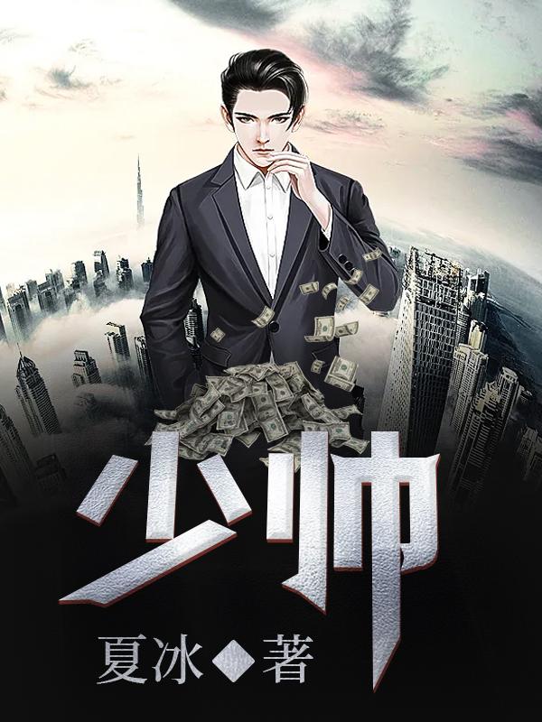 少帅连续剧全集免费版