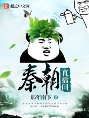 秦朝的视频