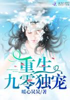 重生九零独宠虎妻