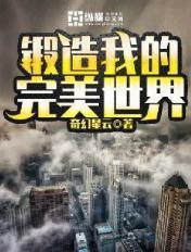 完美世界手游锻品