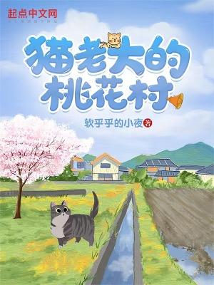 猫老大主播