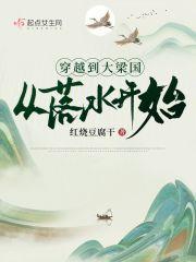 穿越到大梁国从落水开始TXT