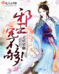 邪王宠妻无弹窗阅读免费