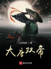 大唐双皇子免费阅读