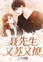 聂先生又苏又撩免费聂铮正版