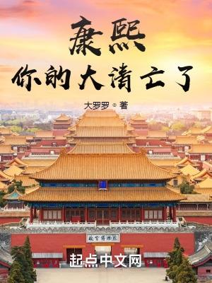 康熙你的大清亡了大罗罗