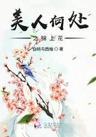 美人赠我锦绣段