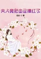 夫人又把人给打了
