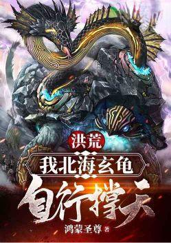 自行撑天!_鸿蒙圣尊