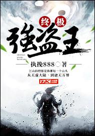 终极盗贼txt