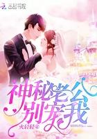神秘老公别放肆免费阅读