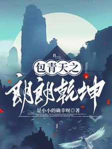 看电视剧包公探案