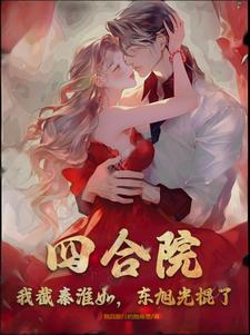 四合院娶秦淮茹的