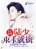 军门霸爱娇妻怀里