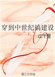 穿到中世纪搞建设类似