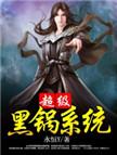 超级黑锅系统大结局