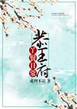 恭王府丫鬟日常晋江