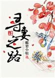 寻妻之路免费阅读