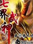 七界武神叶天免费阅读