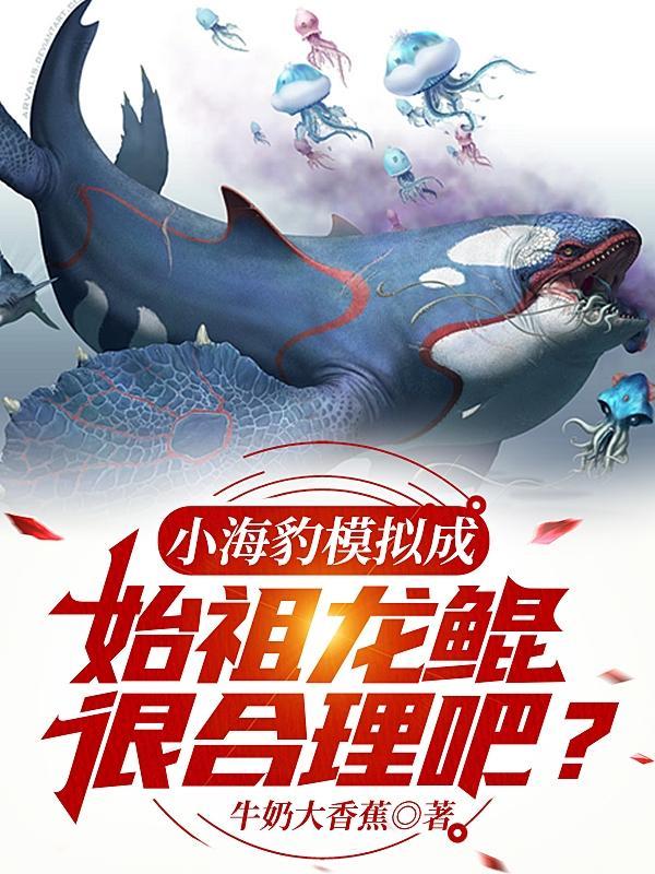 小海豹真人使用教学视频