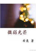 微弱光芒的成语