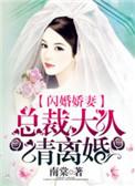 闪婚总裁之总裁大人难招架