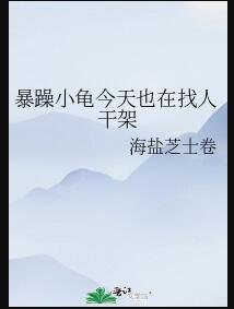 暴躁小龟今天也在找人干架 百度