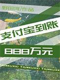 支付宝到账888万元野田河
