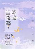 当夜幕降临的时候是什么歌