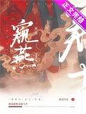 窥伺全文阅读