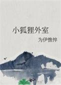 小狐狸外室免费阅读全文最新章节更新时间