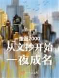 重返2000从挽回妻女开始免费阅读