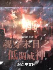 魂穿末日之低调成神心情谷地