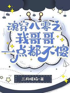 魂穿八零之我哥哥一点都不傻 三月暖扬