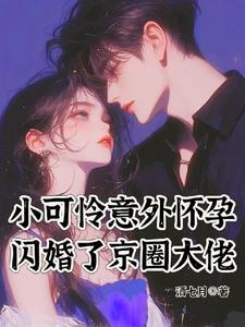 怀孕孕吐宠文
