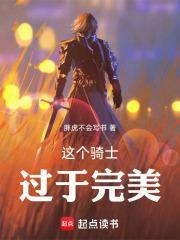 这个骑士过于完美TXT百度