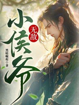 无敌小侯爷txt