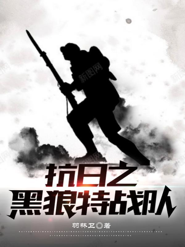 抗日之黑狼特战队八零电子书