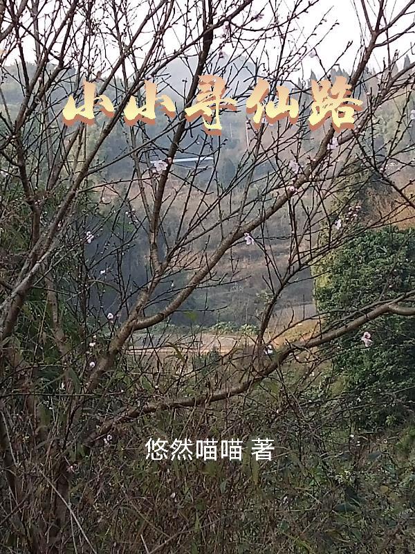 新寻仙小甜甜在哪