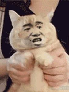 爆笑狗蛋儿