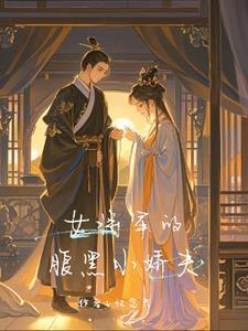 女将军娶夫