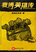 赛博英雄传世界观