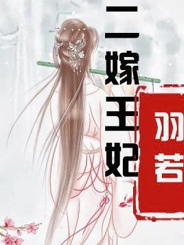 二嫁王妃免费阅读全文